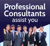 Professional Consultants